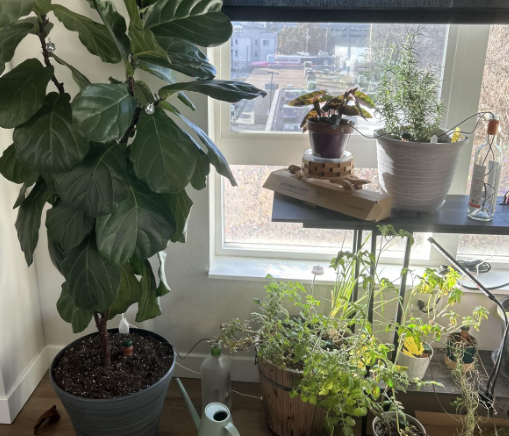 Community photo 6