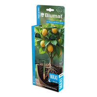 Blumat Drip Maxi Watering Sensors – 2 Pack