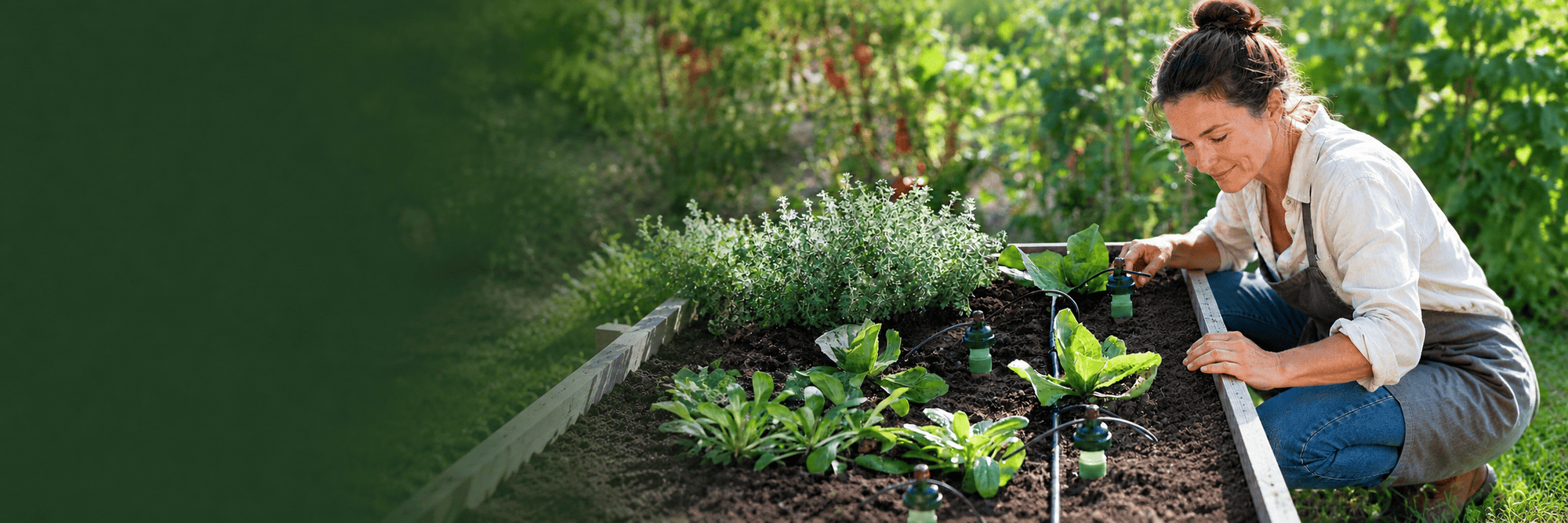Smart Watering. No Power Needed.