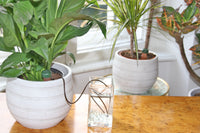Blumat Classic Automatic Plant Waterers – 3 Pack