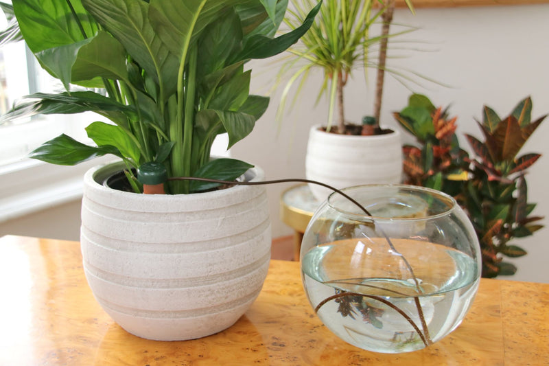 Indoor Solutions