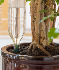 Blumat Easy Bottle Watering Stake - 1 Pack