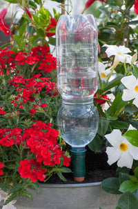 Blumat Easy Bottle Watering Stakes – 3 Pack
