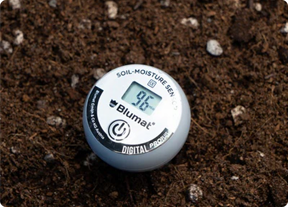 Stop Guessing. Start Knowing.