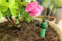 Blumat Drip Maxi Watering Sensors – 2 Pack